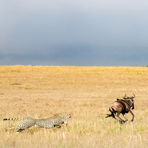 maya_2686-Edit-2-DeNoiseAI-denoise